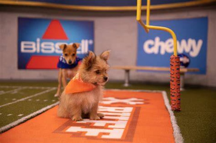 2020 Puppy Bowl
