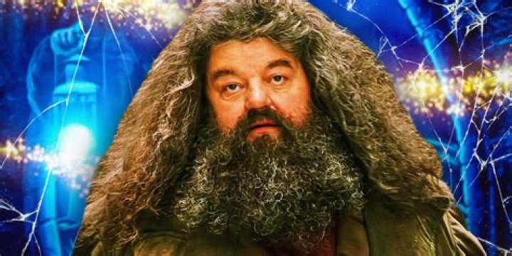 99718 - Publicity Hagrid Media Event Grand Opening 061119 Hagrid's Magical Creatures Motorbike Adventure Hogsmeade