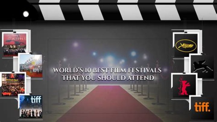 A Film Festival Knockout