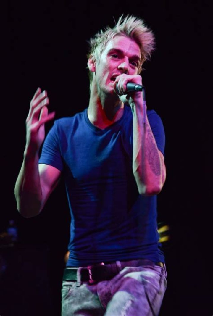 Aaron Carter Singing in Illinois