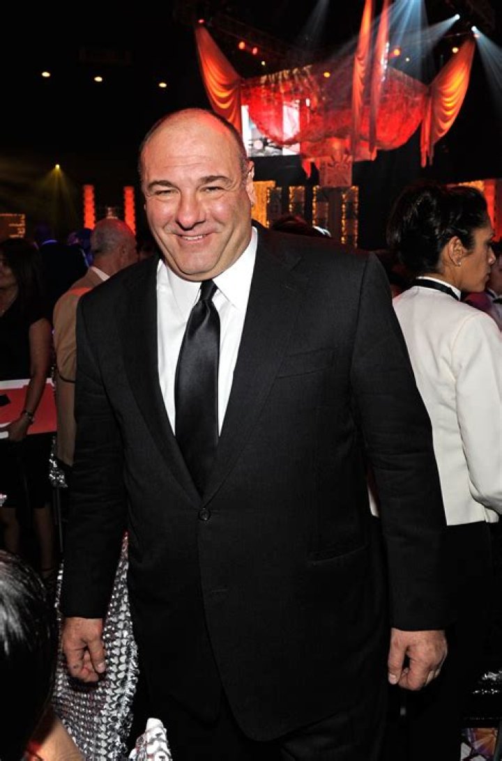 AKA Tony Soprano – Hollywood Life