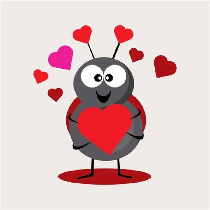 Amazon Sells Virtual Experiences – 30% Off Cooking Demos & Tours For Valentine’s Day