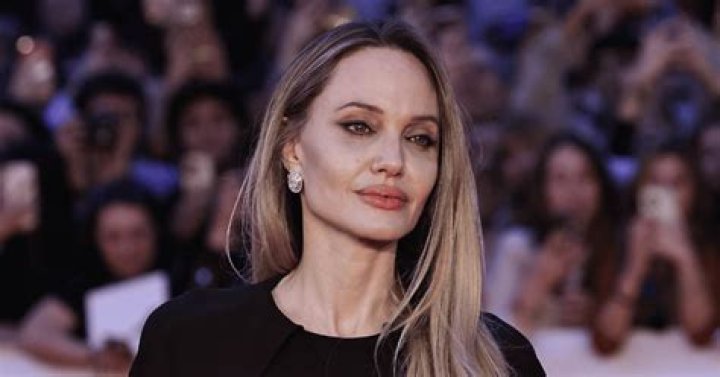 angelina jolie winery court documents