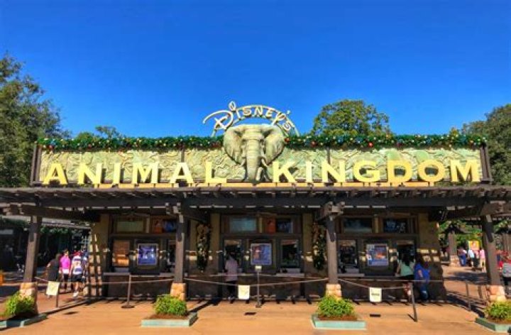 Animal Kingdom