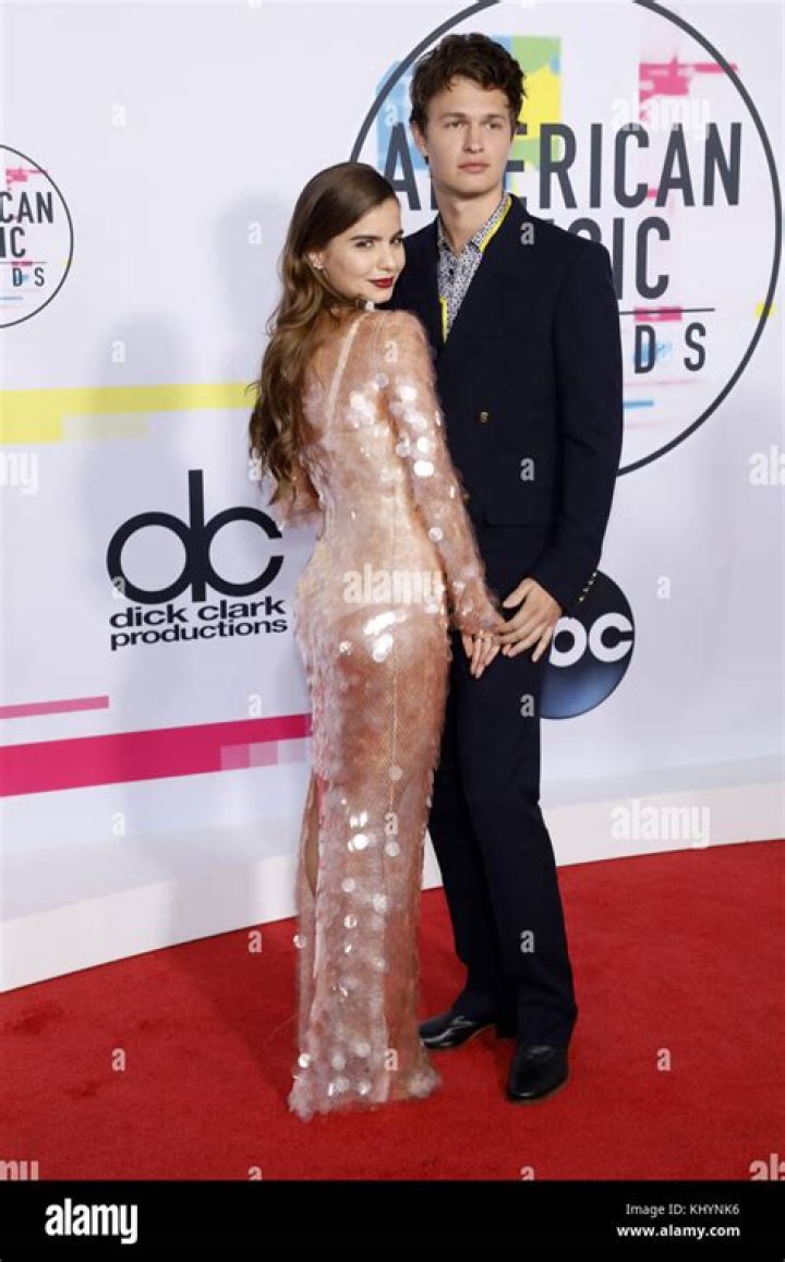 Ansel Elgort American Music Awards, Arrivals, Los Angeles, America - 23 Nov 2014