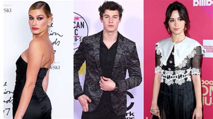 Are Hailey Baldwin & Camila Cabello Fighting Over Shawn Mendes?
