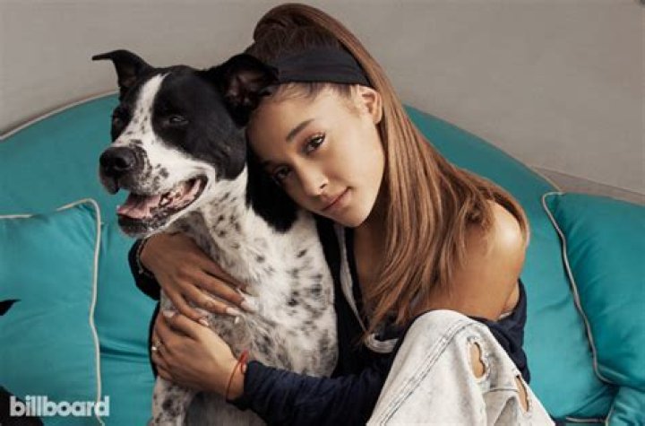 Ariana Grande Dogs