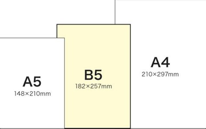 B5
