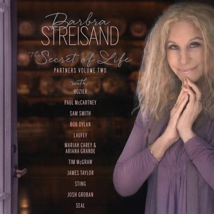 Barbra Streisand in &lsquo;All Night Long&rsquo;