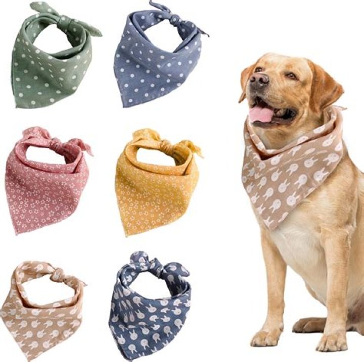 Bib Bandana Sets