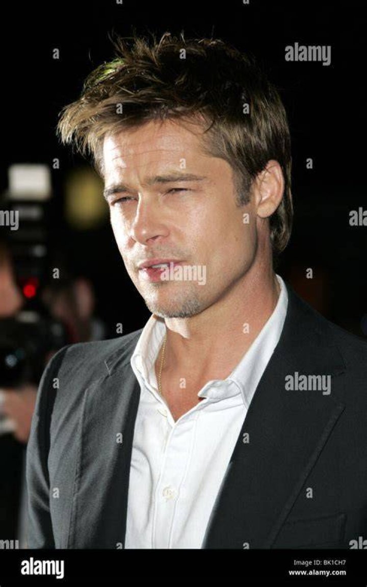 Brad Pitt in 2006