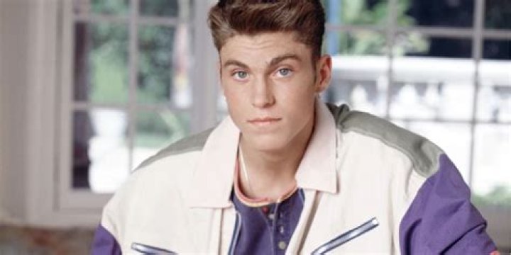 Brian Austin Green as David Silver