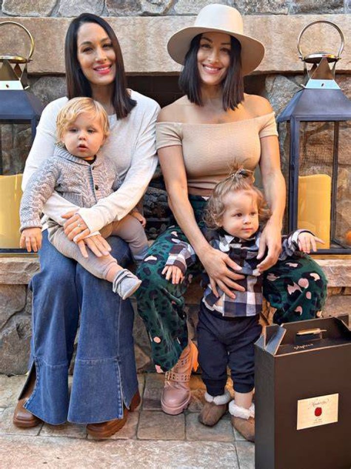 Brie Nikki Bella Pictures