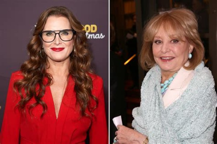 brooke shields, barbara walters