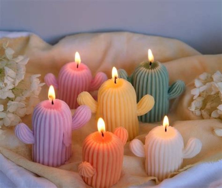 cactus candles