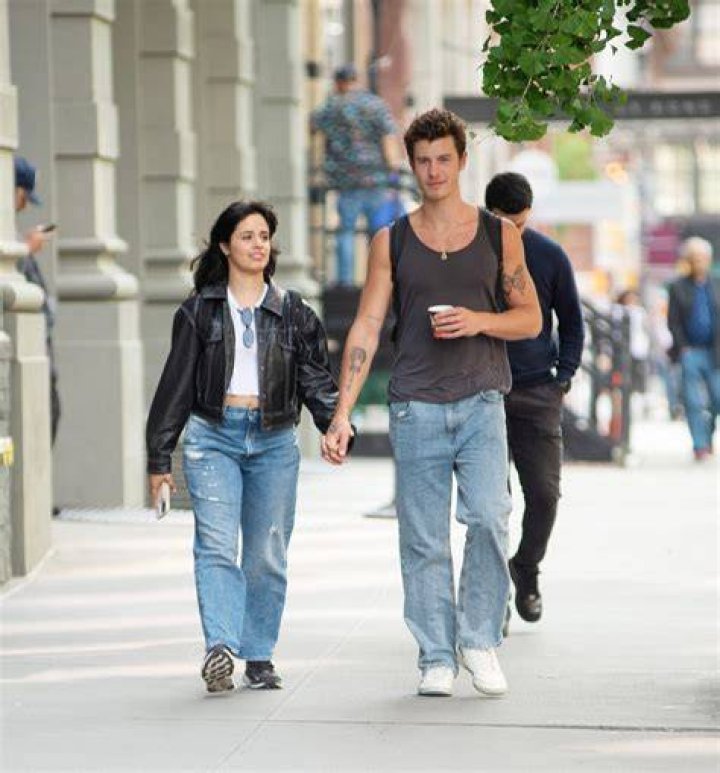 Camila Cabello Rocks A Bikini & Makes Out With Shawn Mendes On Beach – Hollywood Life