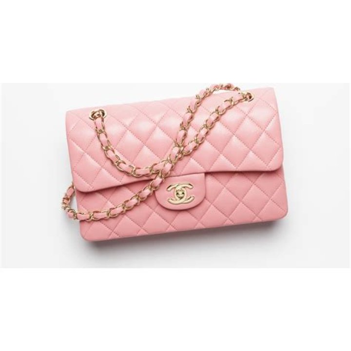 Chanel Purse