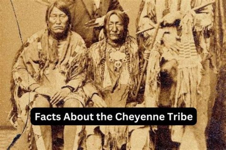 cheyenne