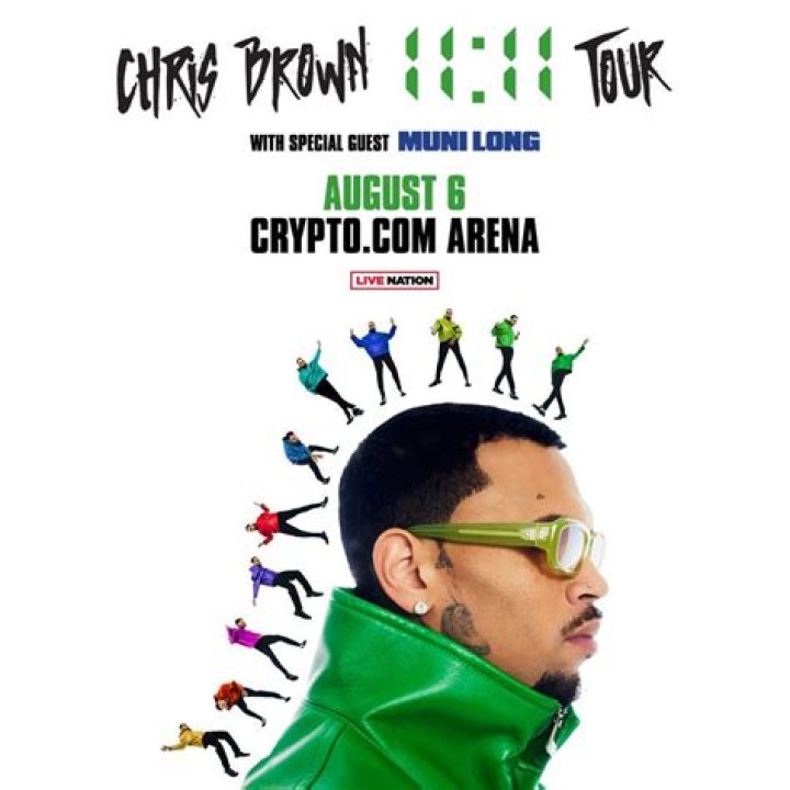 Chris Brown Rock Throwing