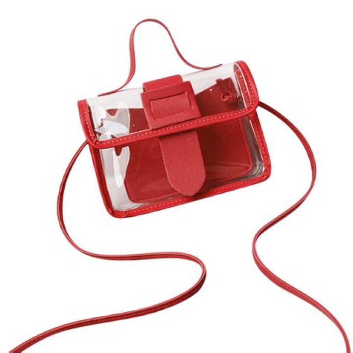 clear purse
