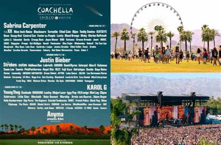 Coachella 2018: Stars In Bikinis — PICS