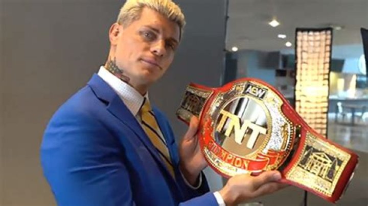 Cody Rhodes TNT 'All Elite Wrestling' panel, TCA Summer Press Tour, Los Angeles, USA - 24 Jul 2019