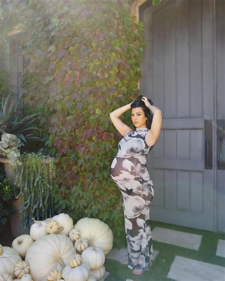Courtney Stodden Baby Bump Bikini