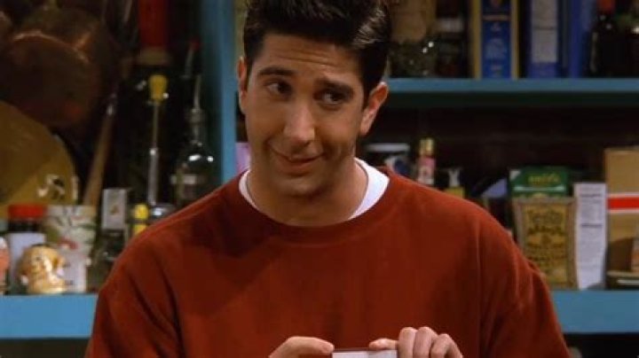 David Schwimmer as Ross Geller