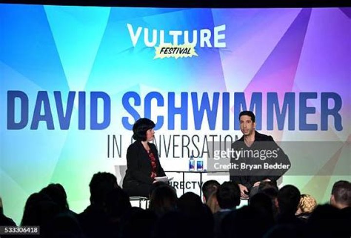 David Schwimmer at Vulture Festival