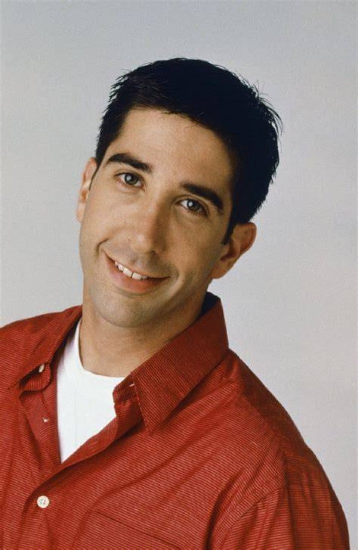 David Schwimmer in a &lsquo;Friends&rsquo; Season 10 Promotional Photo