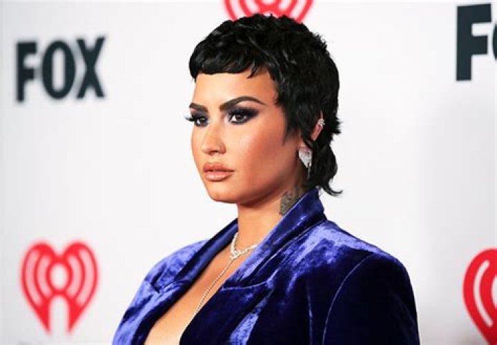 Demi Lovato Says They Could Eventually Identify As Trans – Hollywood Life