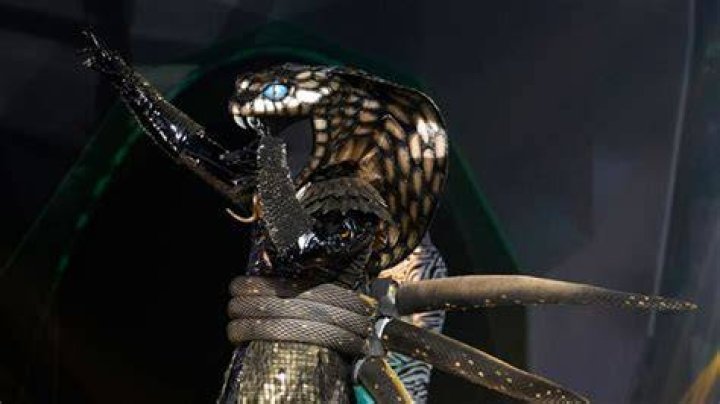 Doctor Elvis Revealed On ‘The Masked Singer’ As The Serpent: Exclusive – Hollywood Life