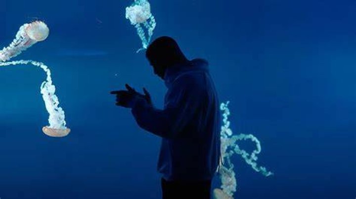 Drake Films ‘What’s Next’ Music Video All Over Toronto – Hollywood Life