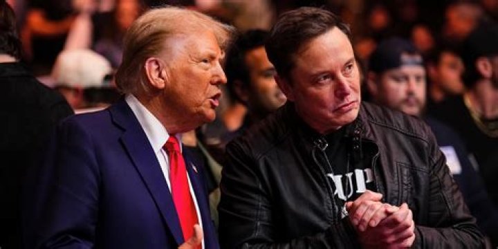 elon musk, donald trump