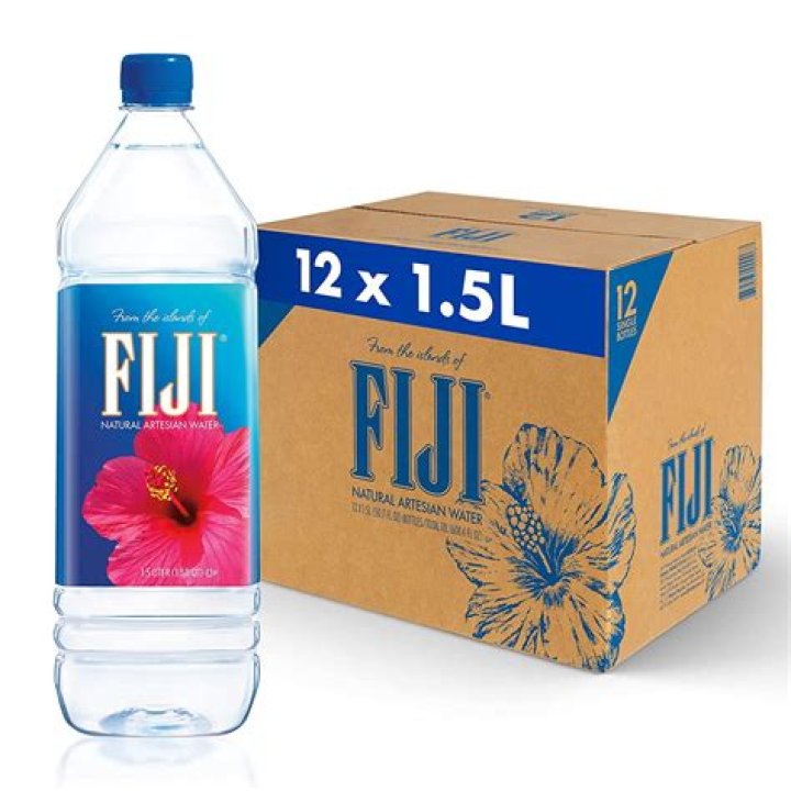 FIJI Water at 3.1 Phillip Lim : Fall 2019 Runway Show