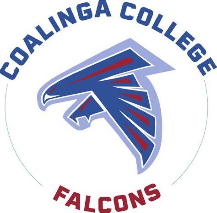 future-falcons