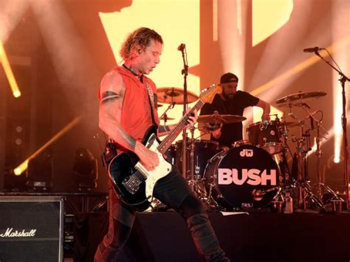 Gavin Rossdale and Bush in concert
