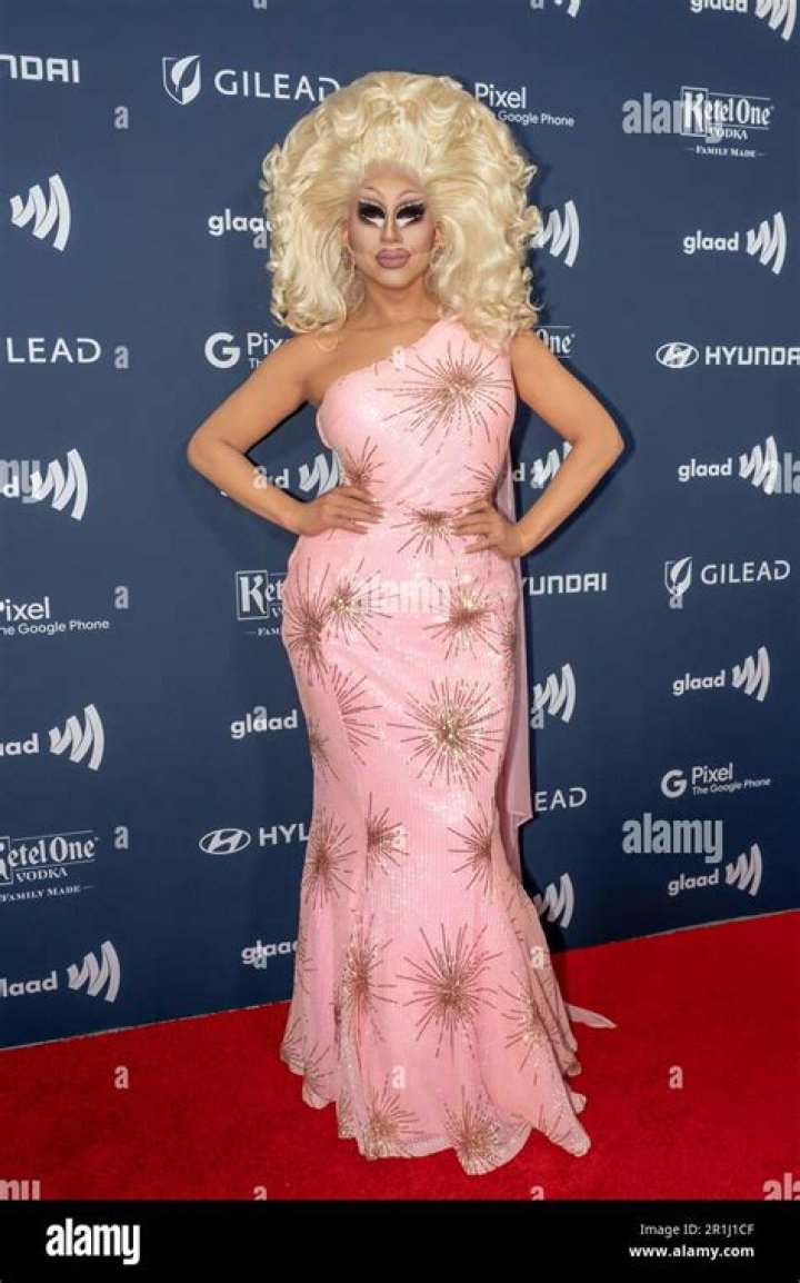 GLAAD Media Awards 2017 Red Carpet — PICS