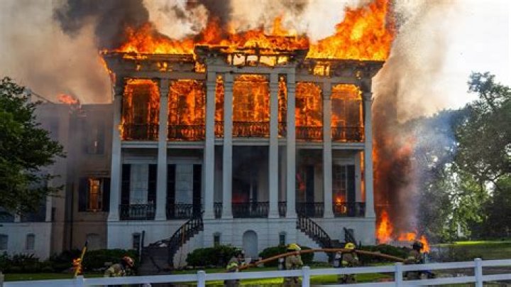 GROSS! Taylor Momsen Is A Pyromaniac — She Burned Her Dog's Nuts!