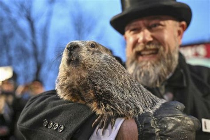 Groundhog Club co-handler Al Dereume holds Punxsutawney Phil, the weather prognosticating groundhog, during the 134th celebration of Groundhog Day on Gobbler's Knob in Punxsutawney, Pa. . Phil's handlers said that the groundhog has forecast an early spring Groundhog Day, Punxsutawney, USA - 02 Feb 2020