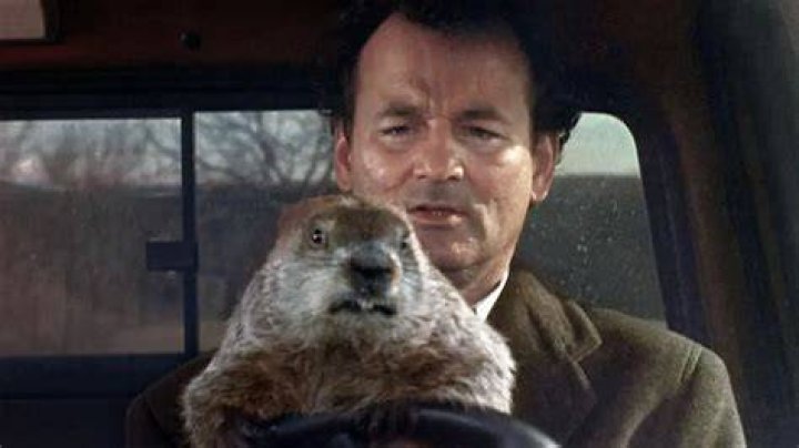 Groundhog Day 2020 — PICS – Hollywood Life