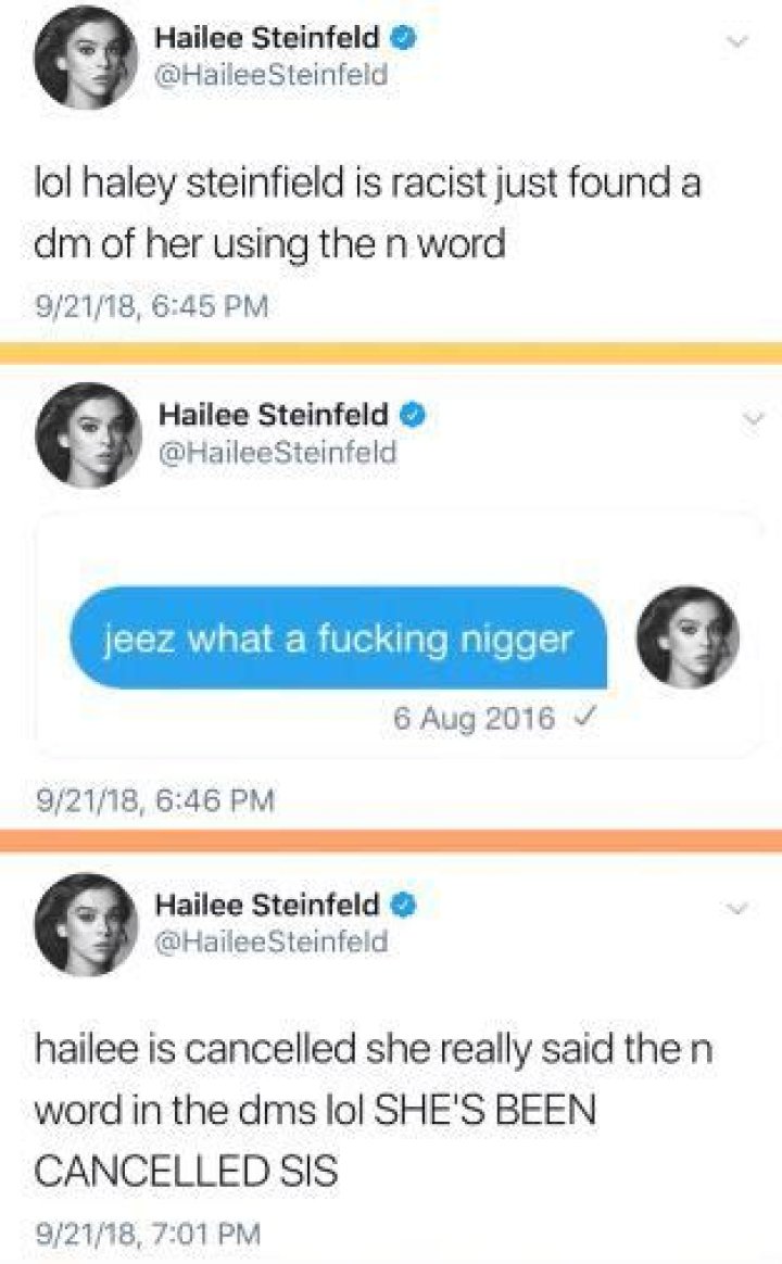 Hailee Steinfeld Twitter Hacked n-word