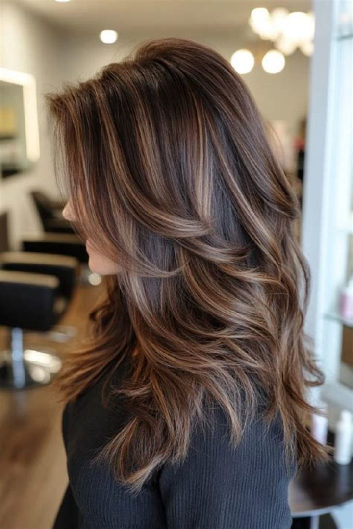 hair highlights winter
