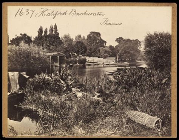 hali-ford