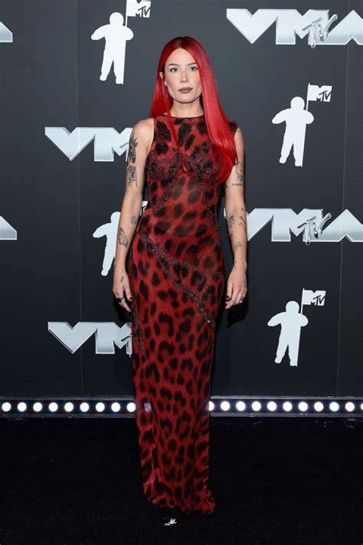 halsey yungblud leopard dress trolling