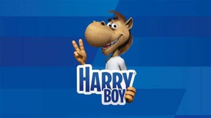 Harry As A Boy Band Member