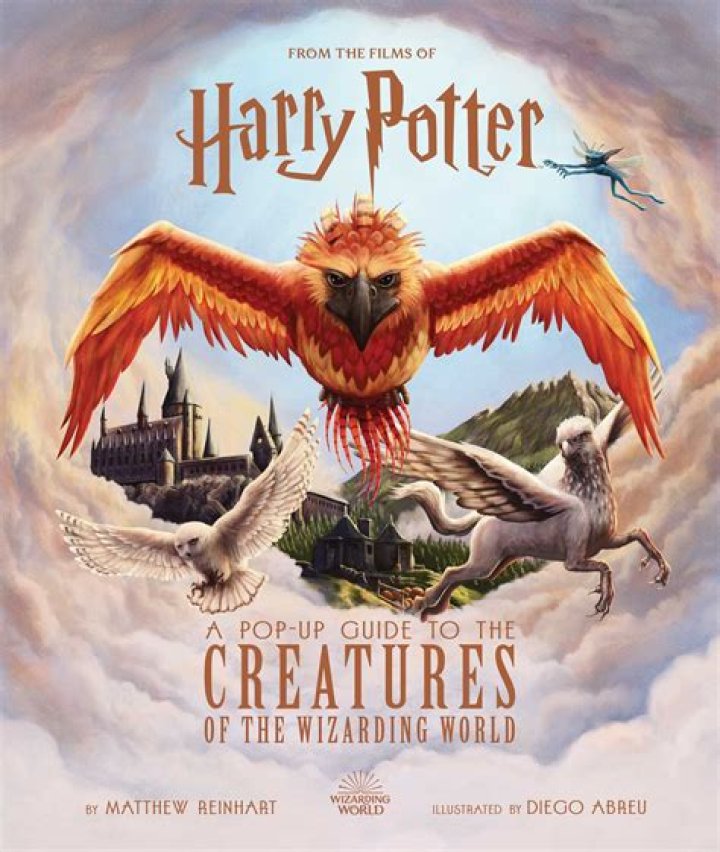 Harry Potter: A Pop-Up Guide to Diagon Alley & Beyond: First Look At Must-Have Gift For Fans