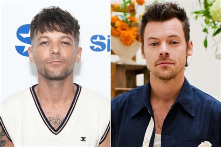 Harry Styles & Louis Tomlinson Face Morph