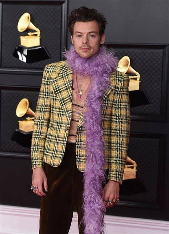 Harry Styles At The 2021 Grammys