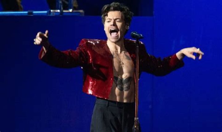 Harry Styles cop